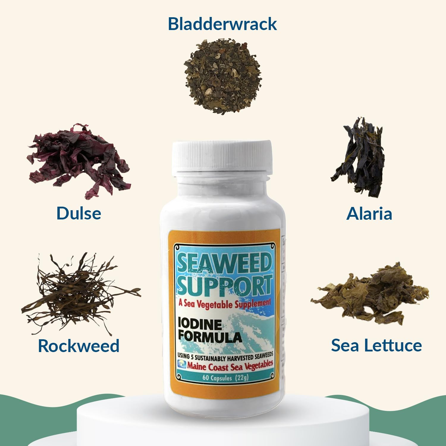 Organic seaweed blend from Maine Coast Sea Vegetables showing five seaweeds.