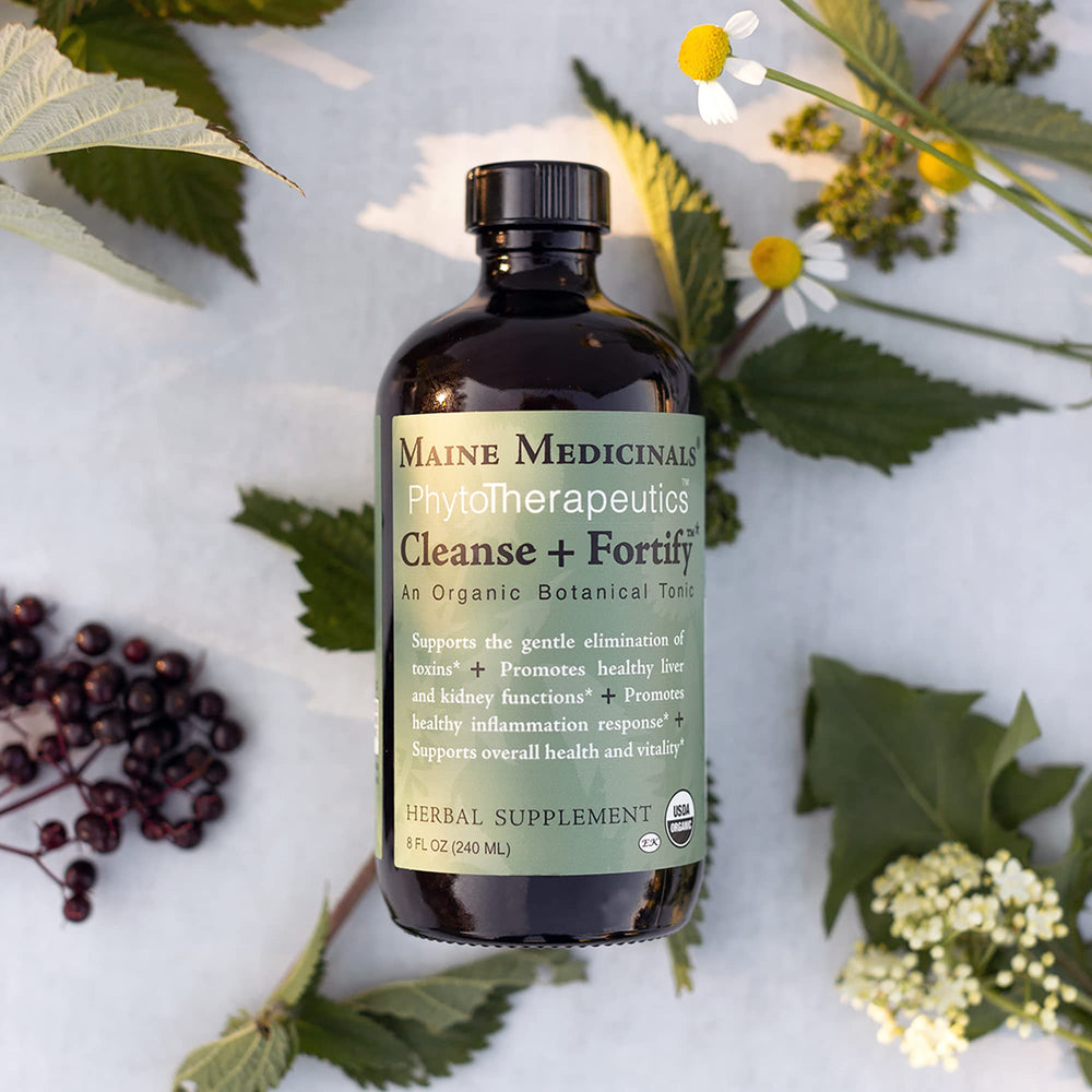 Close-up of Cleanse + Fortify label highlighting organic botanicals and adaptogens