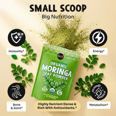 Tea cup scene with MAJU Moringa Powder signals quick, versatile infusion for beverages