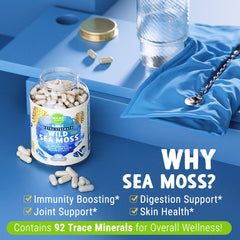 Ingredients bladderwrack and burdock in MAJU 4-in-1 formula