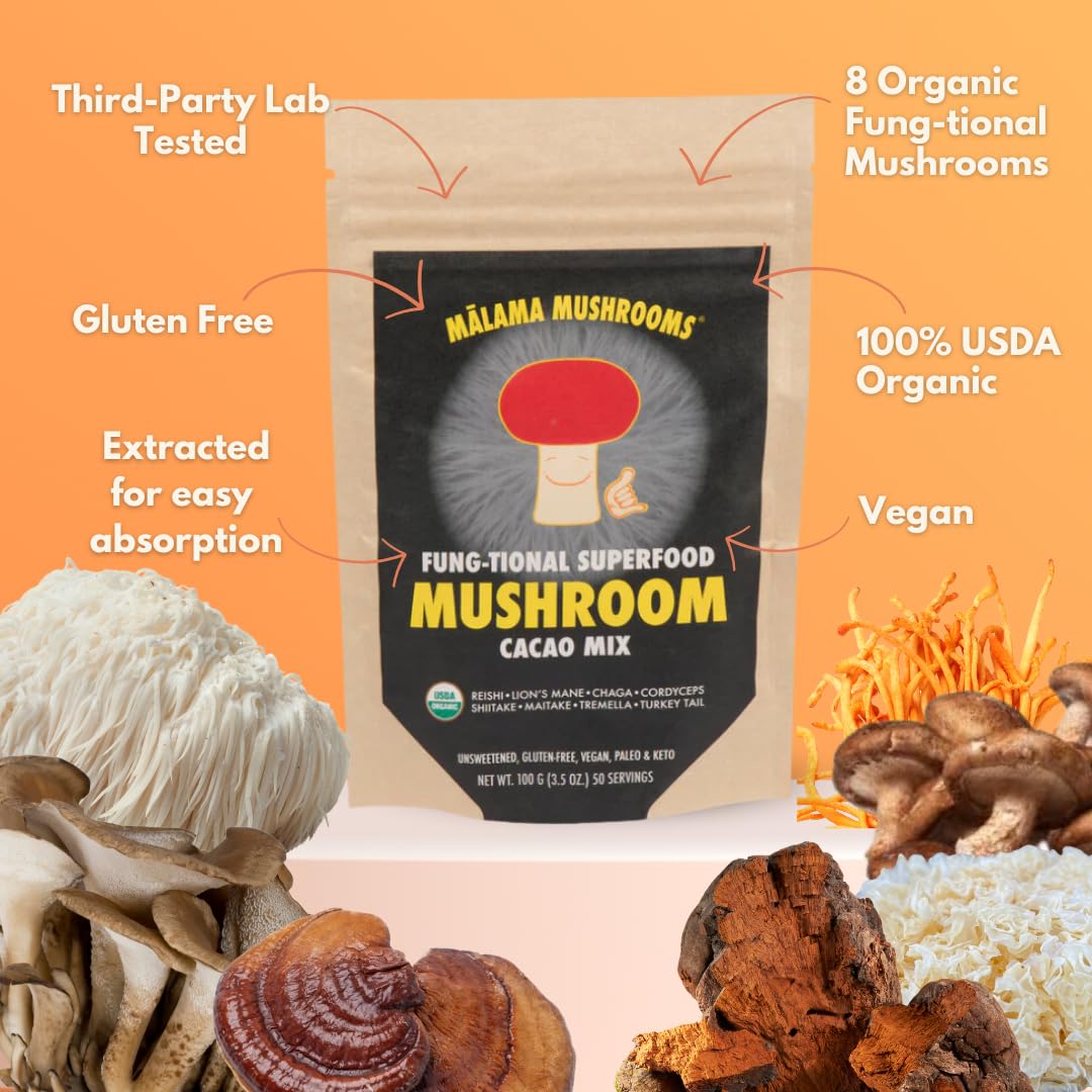 Malama Mushrooms hot cacao in mug for a comforting focus-ready beverage
