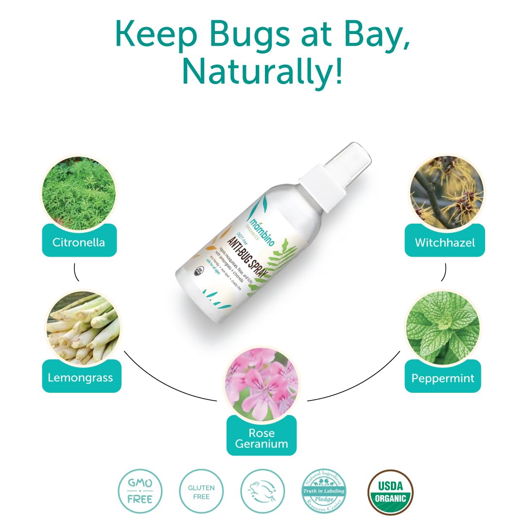 Mambino Organics Anti-Bug Spray back label with DEET-free formula.