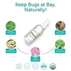 Mambino Organics Anti-Bug Spray three-pack, convenient family protection kit.