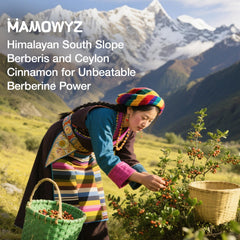 MAMOWYZ Three capsules daily dose laid out for easy routine.