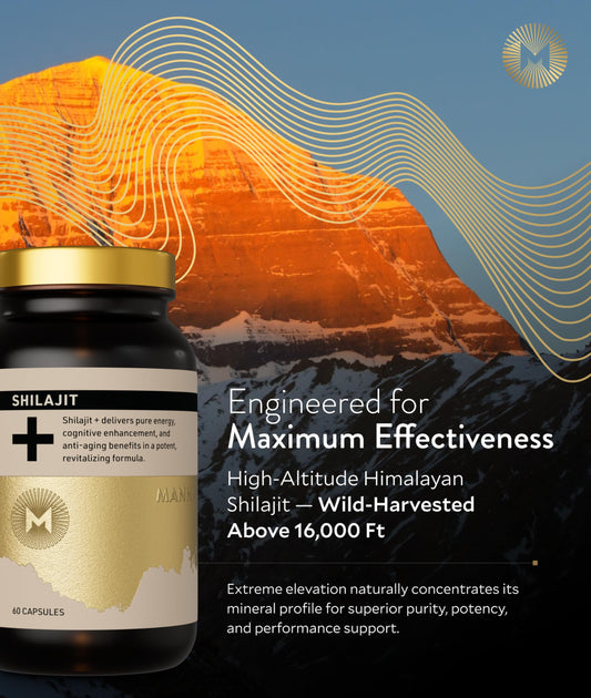 Manna Shilajit capsules daily dose pack for consistent energy