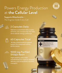 Manna Shilajit capsules pouring into hand for easy daily use