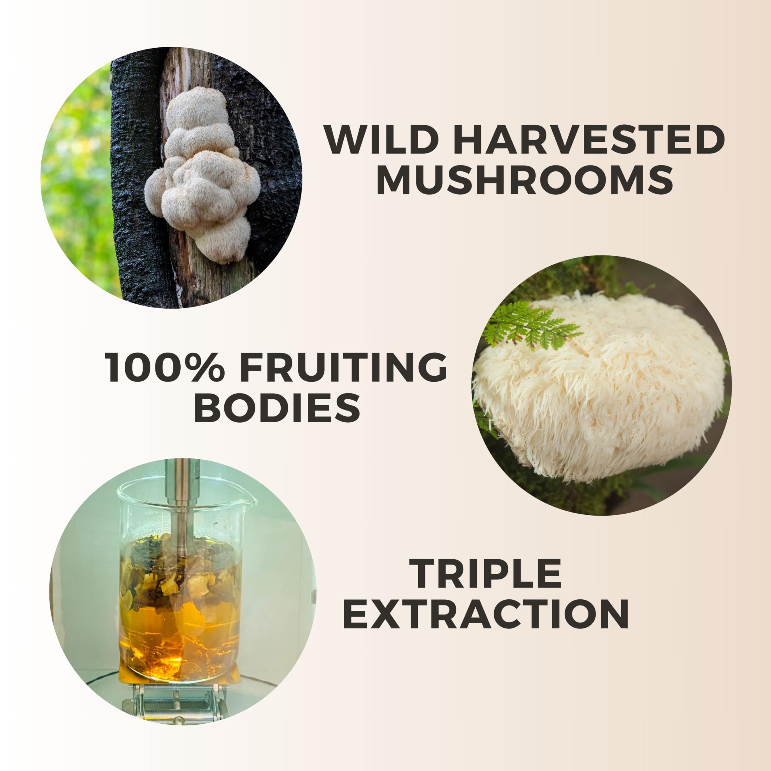 Manuka Mana Lions Mane Think Honey 2 fl oz bottle for daily use.
