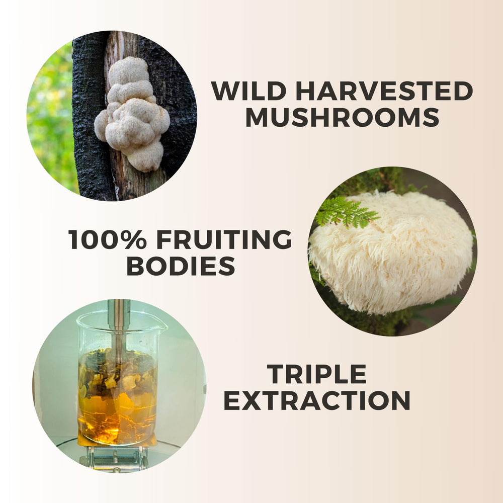 Manuka Mana Lions Mane Think Honey 2 fl oz bottle for daily use.