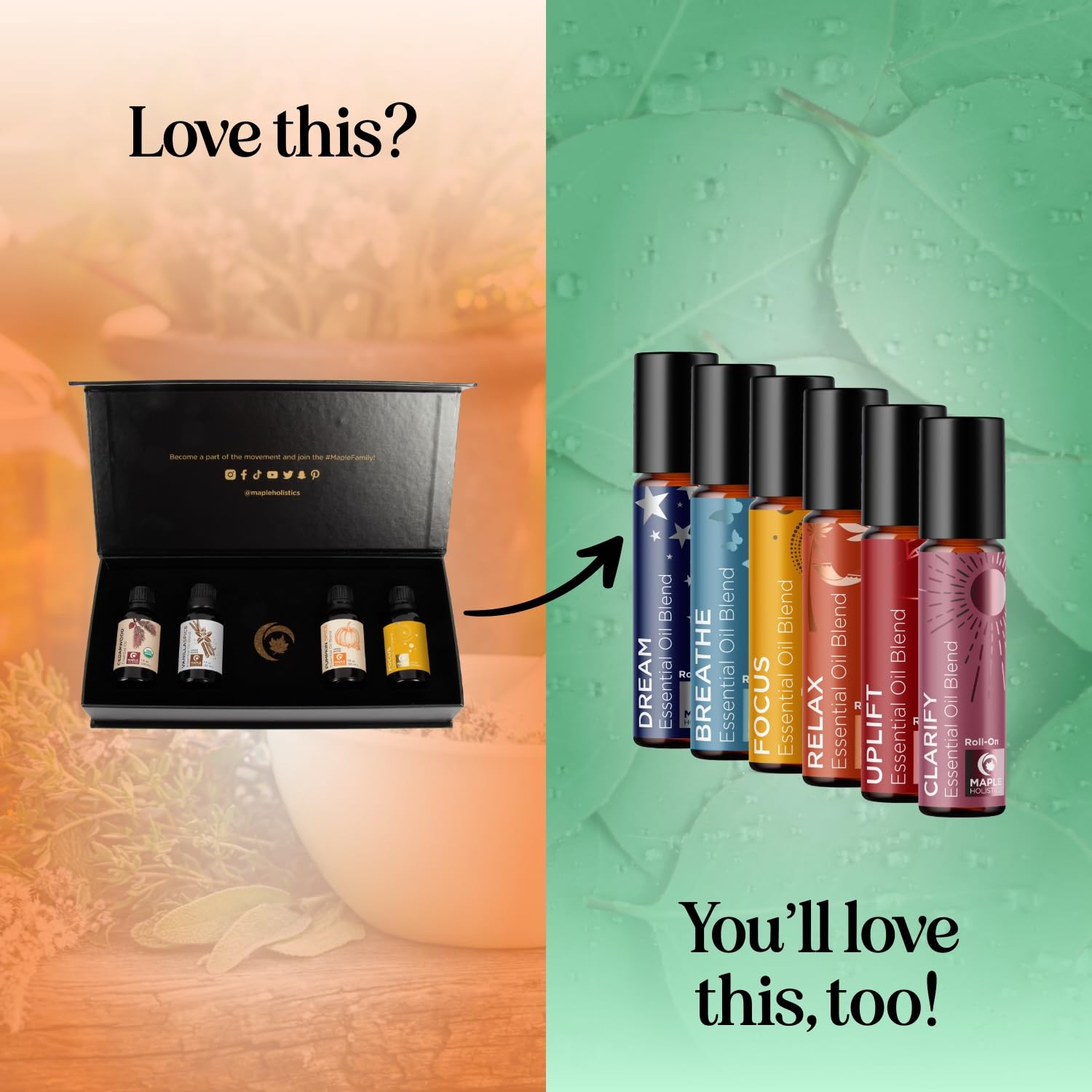 Maple Holistics Premium packaging on the fall essential oils gift set