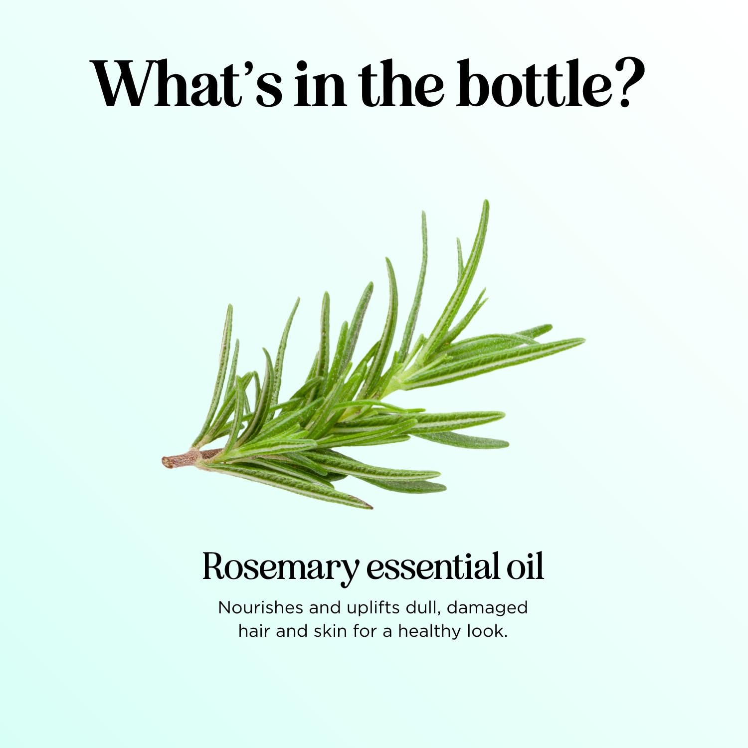 Maple Holistics rosemary oil 8oz container signals long-lasting supply for routines.