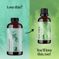 Maple Holistics rosemary oil dropper bottle highlights convenient, measured usage.