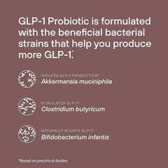 MAPUG GLP-1 Probiotic in use supports daily routines and energy balance.