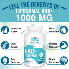 Morning routine scene with Maripolio NAD+ supports daily wellness