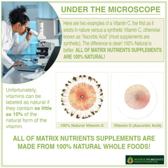 Matrix Nutrients Rabdosia Complex Rabdosia extract ingredient closeup for holistic daily wellness.