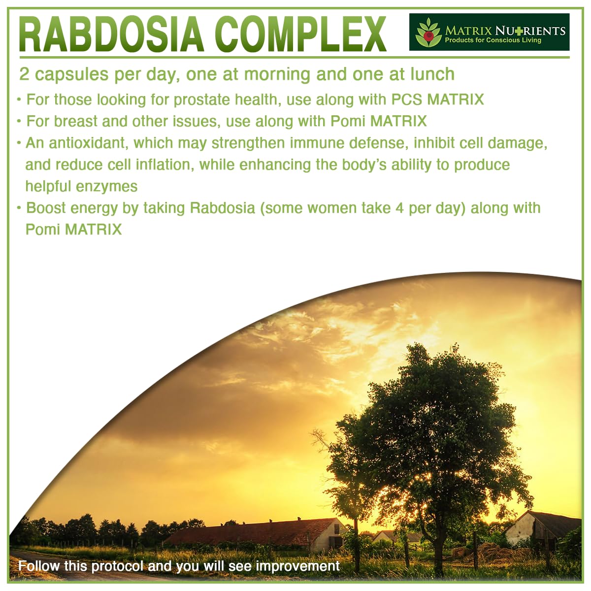 Matrix Nutrients Rabdosia Complex image of rutin hints at botanical support.