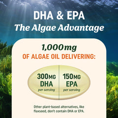 60-serving MAV Nutrition algae oil bottle suitable for daily use