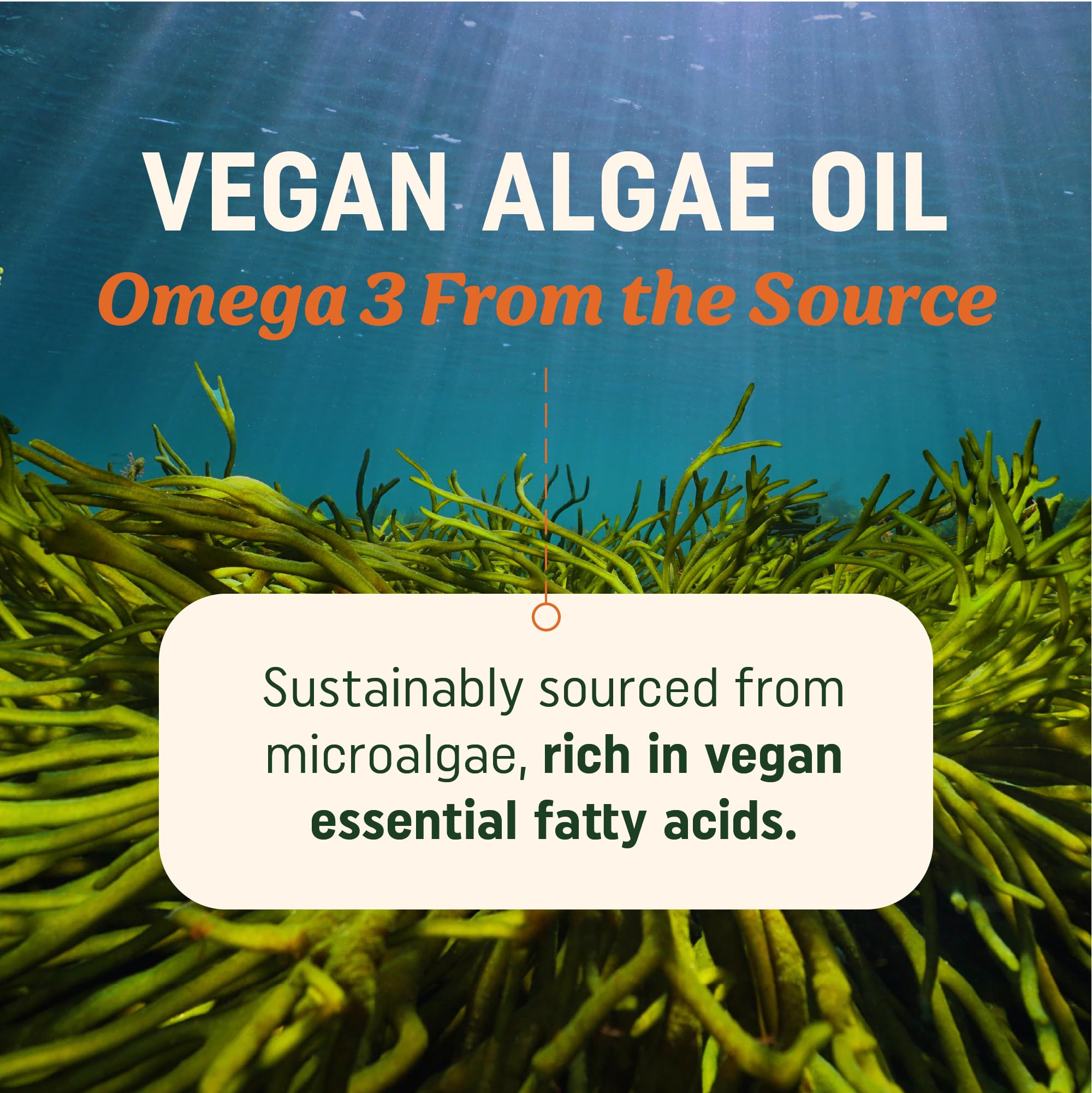 MAV Nutrition omega-3 softgels close-up showing easy-to-swallow capsule