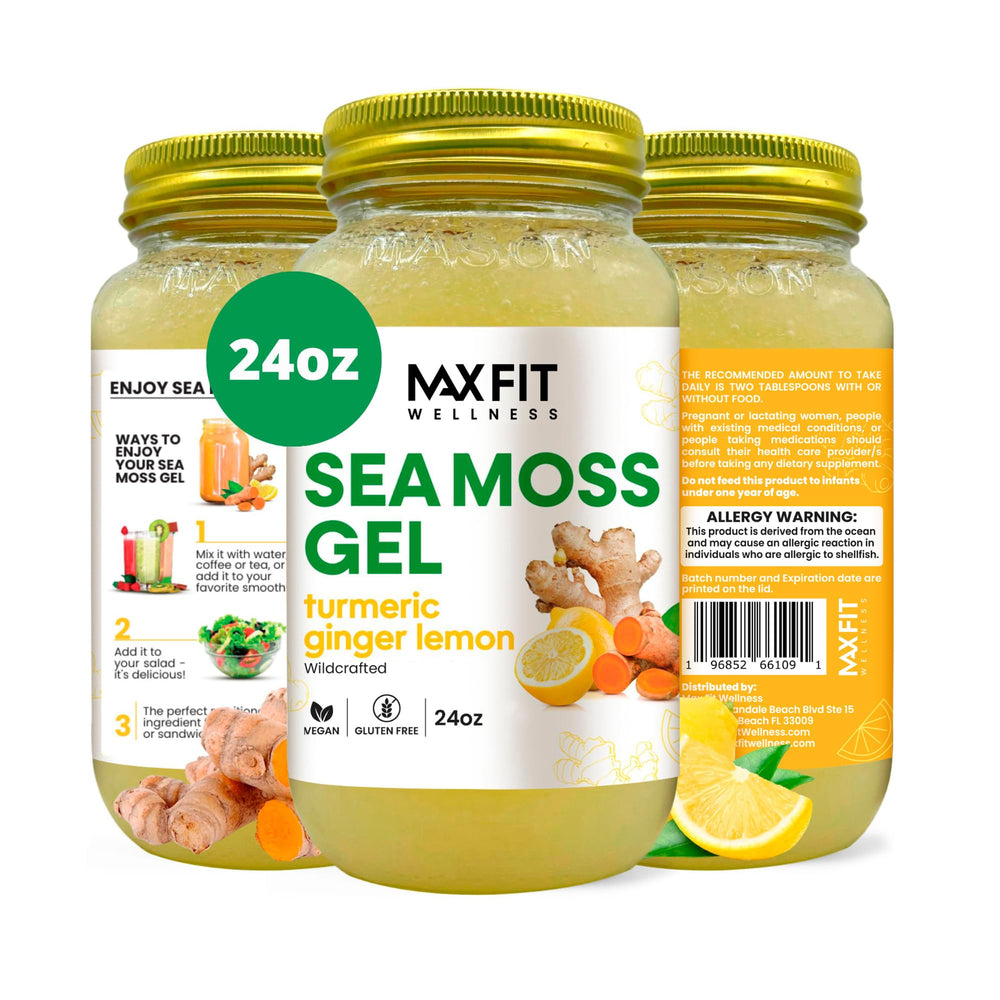 MAX FIT Sea Moss Gel 24oz jar shows the gold gel for daily nutrition.