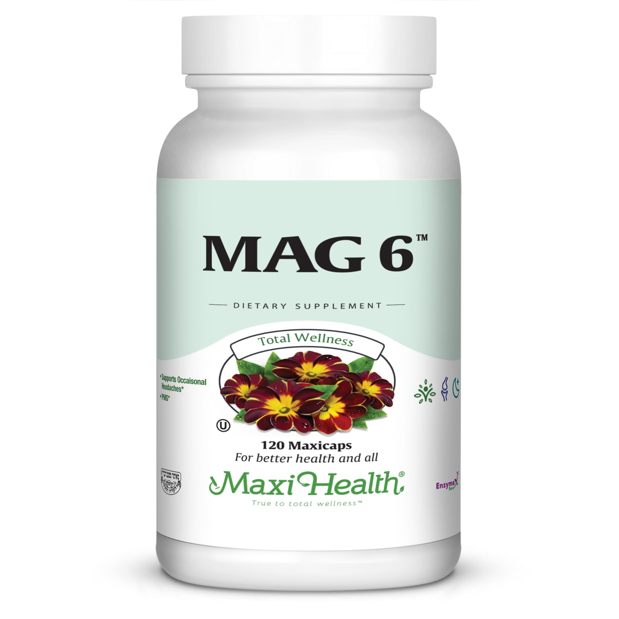 Maxi Health MAG 6 bottle and label for steady daily energy support