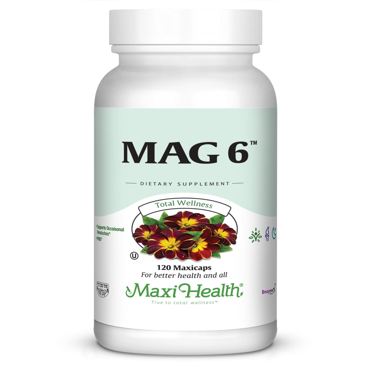 Maxi Health MAG 6 bottle and label for steady daily energy support