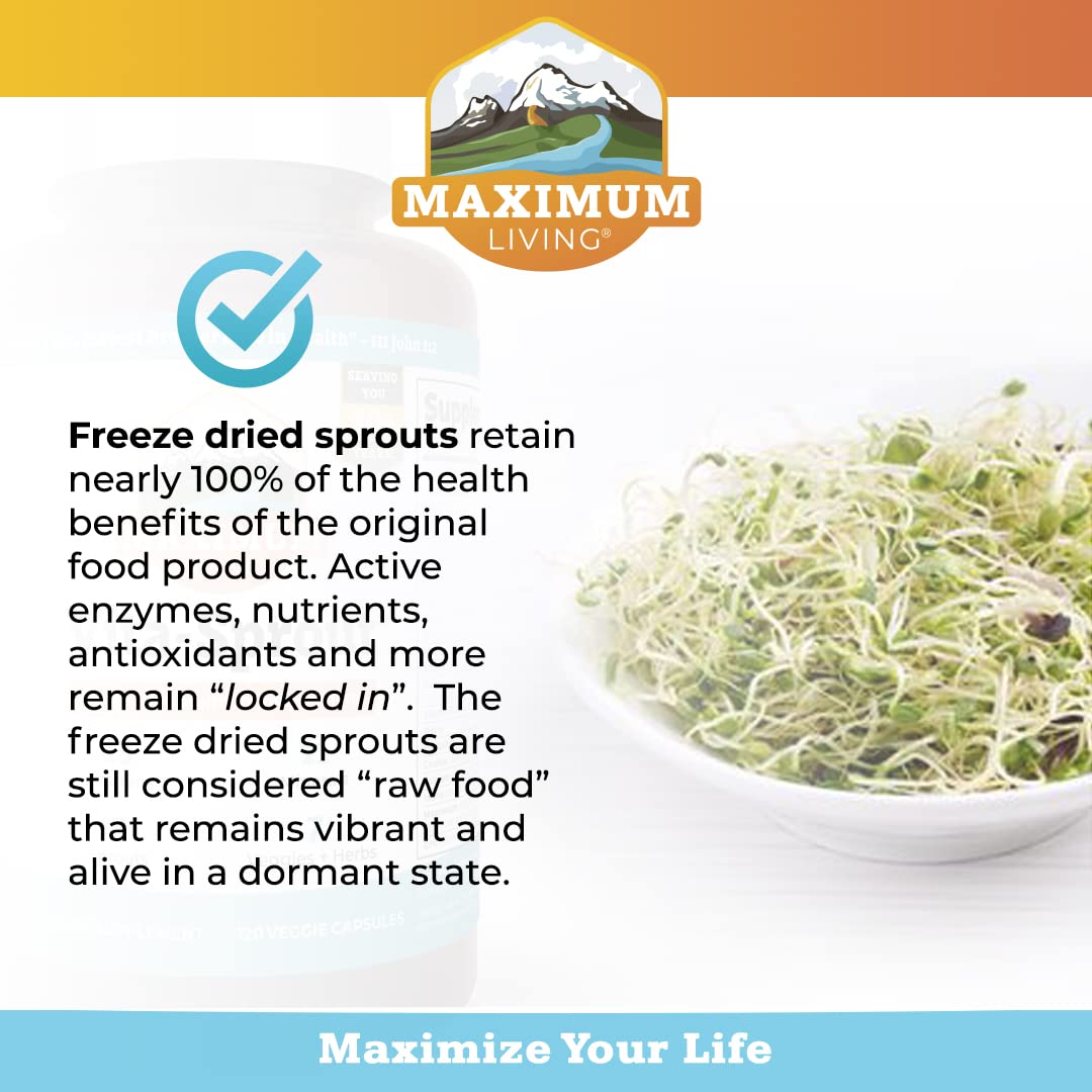Maximum Living VitaSprout organic sprouts graphic signaling phytonutrient power.