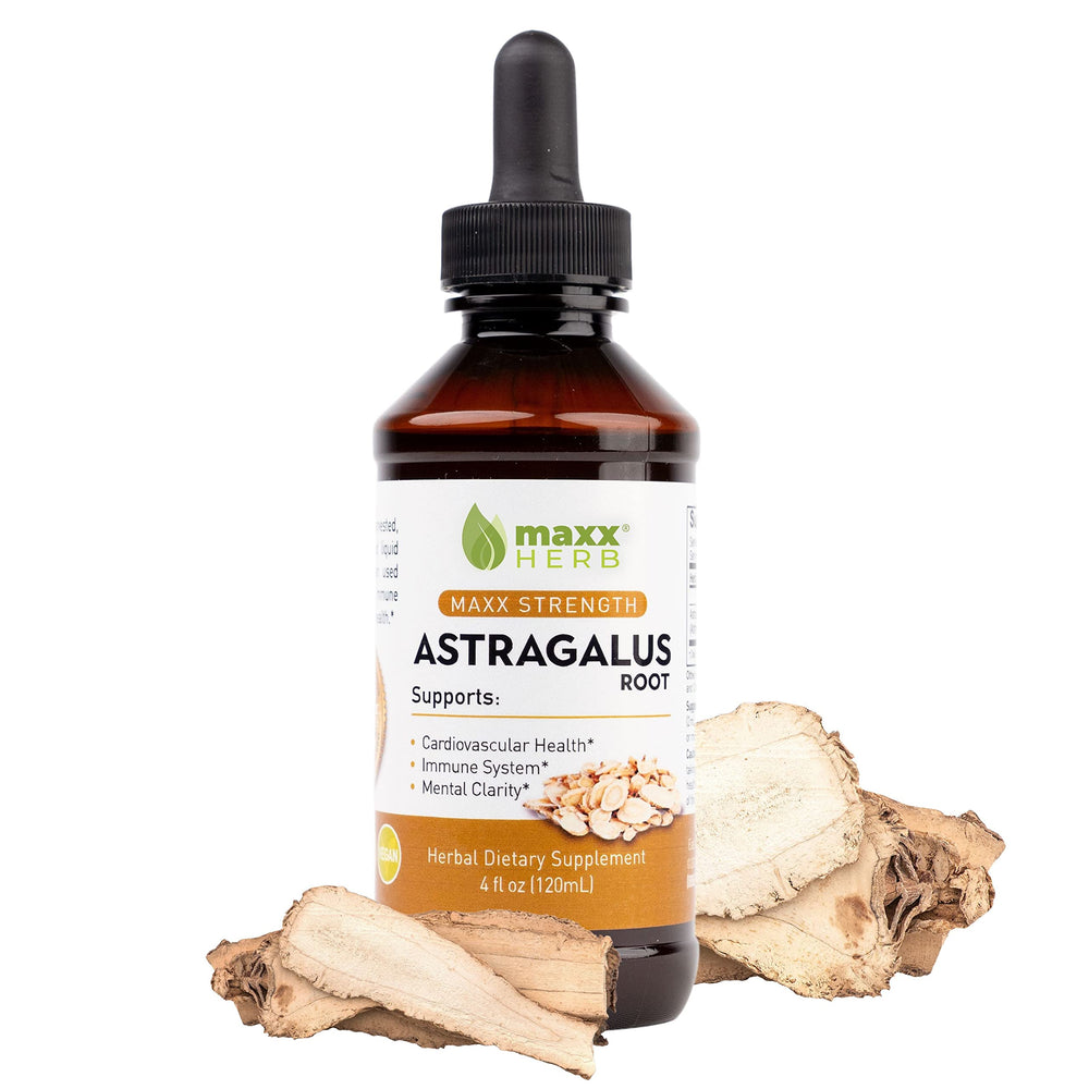 Maxx Herb Astragalus Root Extract bottle with dropper highlighting potency for immune support