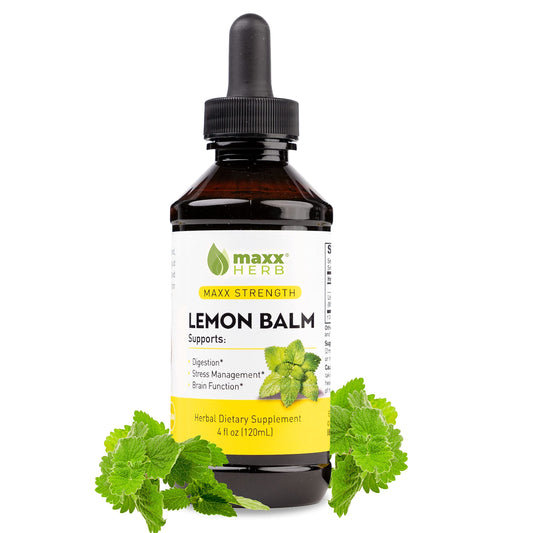 Maxx Herb Lemon Balm tincture bottle showing potent, alcohol-free formula for quick relaxation.