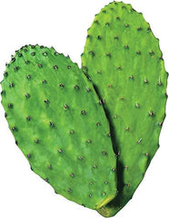 Maxx Herb Nopal powder ingredients label emphasizing purity and origin