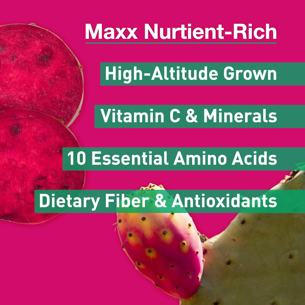 Maxx Herb Red Nopal fruit closeup showing vibrant color and fiber-rich profile.