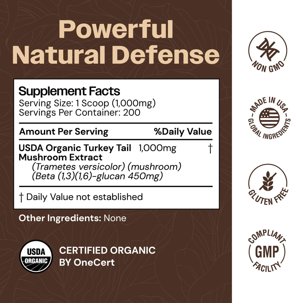 Mayfair Naturals turkey tail powder texture close-up showing fine consistency.