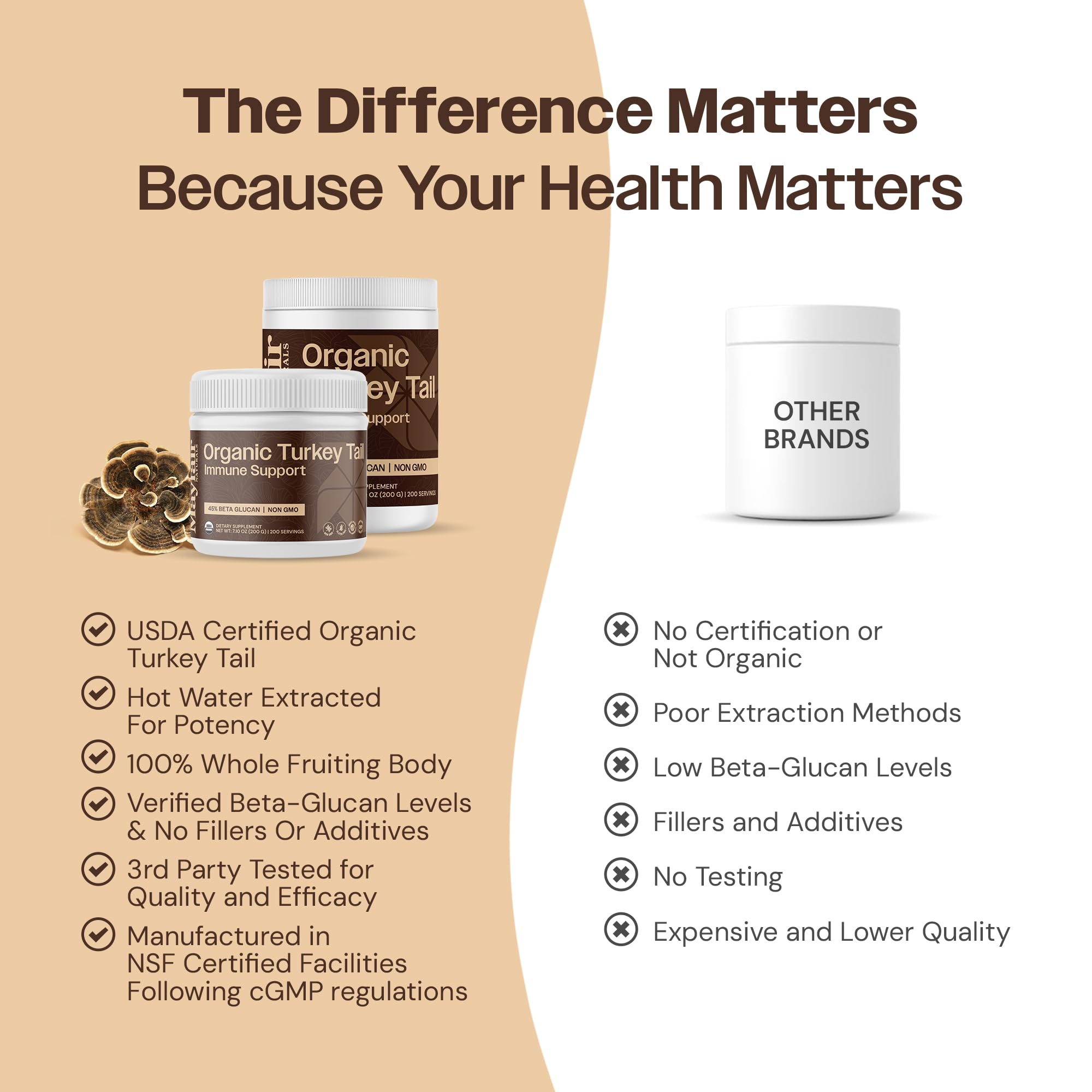 Mayfair Naturals turkey tail powder added to a smoothie for easy daily intake.