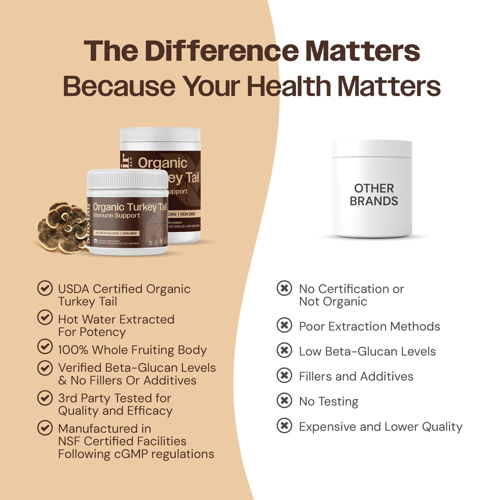 Mayfair Naturals turkey tail powder added to a smoothie for easy daily intake.