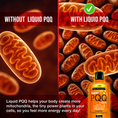 Energy-boosting mood of MBS Biotechnology Super PQQ Liquid for focus.