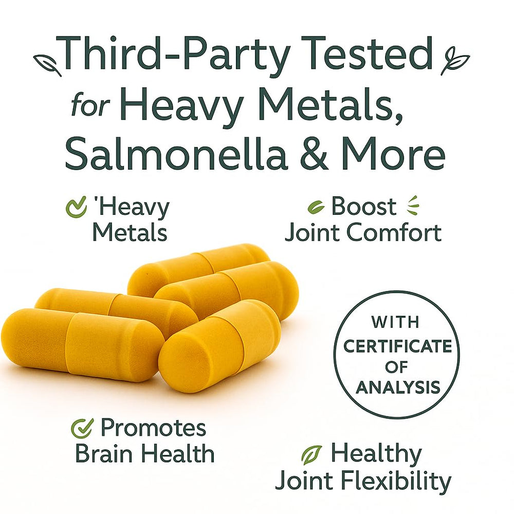 Me First Living turmeric capsules poured for quick daily use.