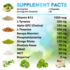 MedChoice Ginkgo Biloba visual for memory and brain support.