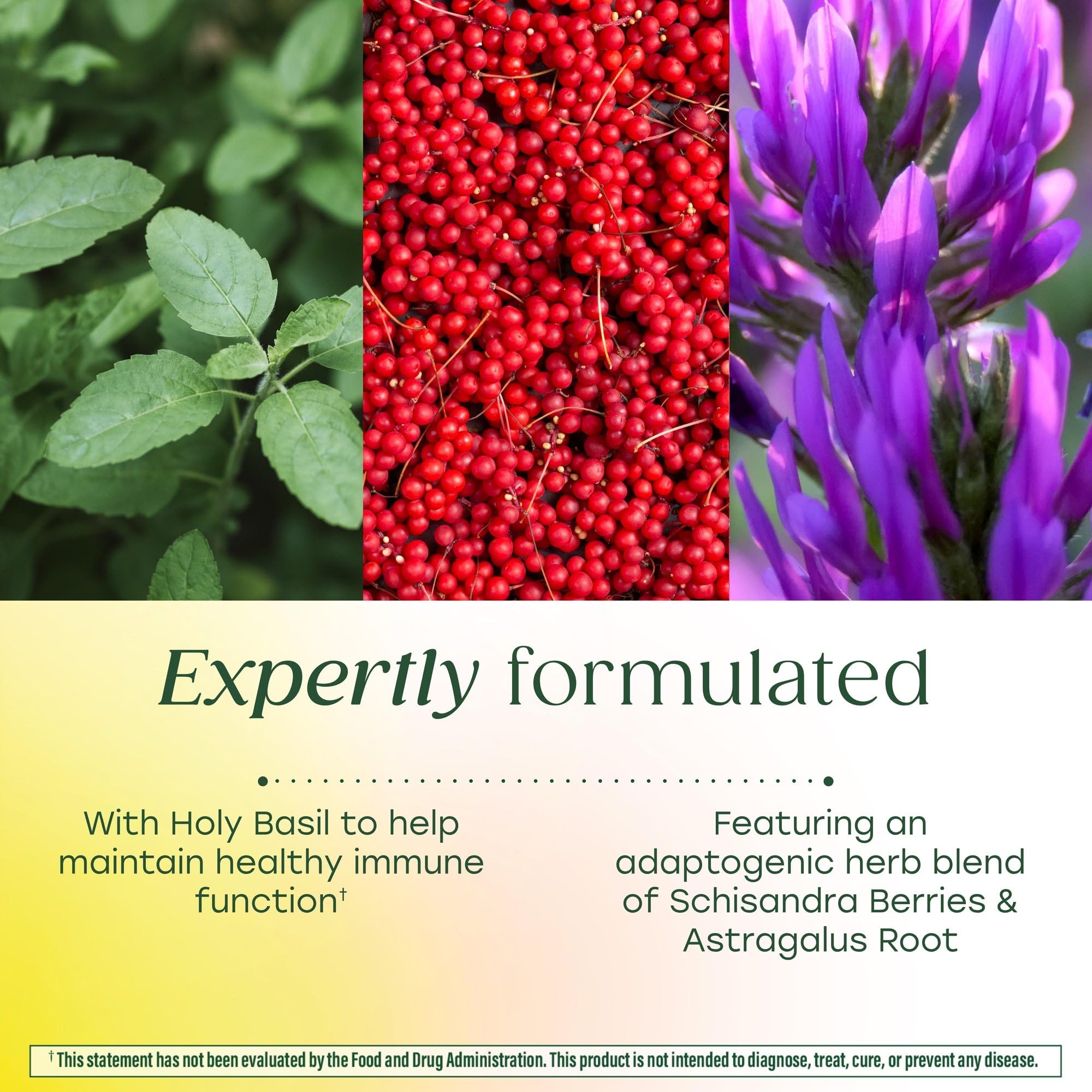 MegaFood Ashwagandha Complex with Holy Basil section emphasizing adaptogenic herbs