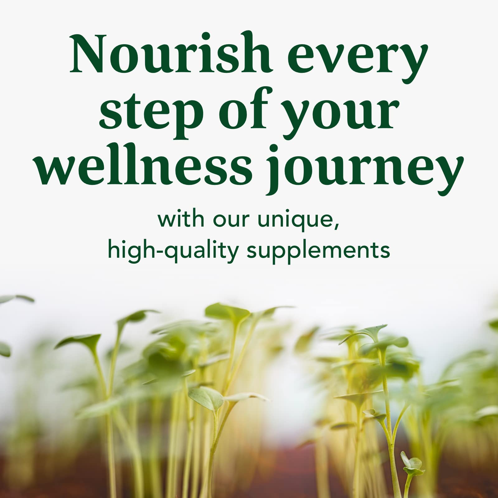 MegaFood Blood Builder lifestyle shot promoting a daily wellness routine