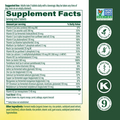 Close-up of MegaFood tablets, ideal for daily energy and immune support.