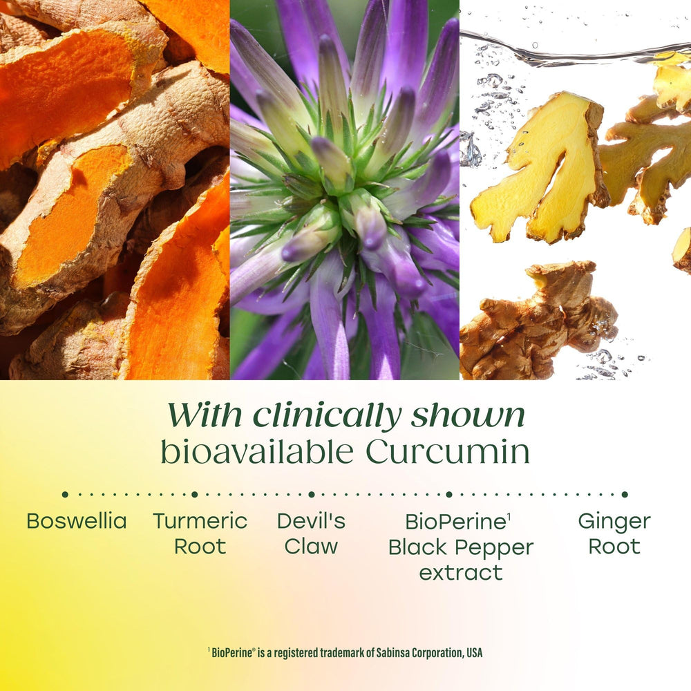 Ingredient palette featuring turmeric, ginger, and boswellia for joint-supporting blend