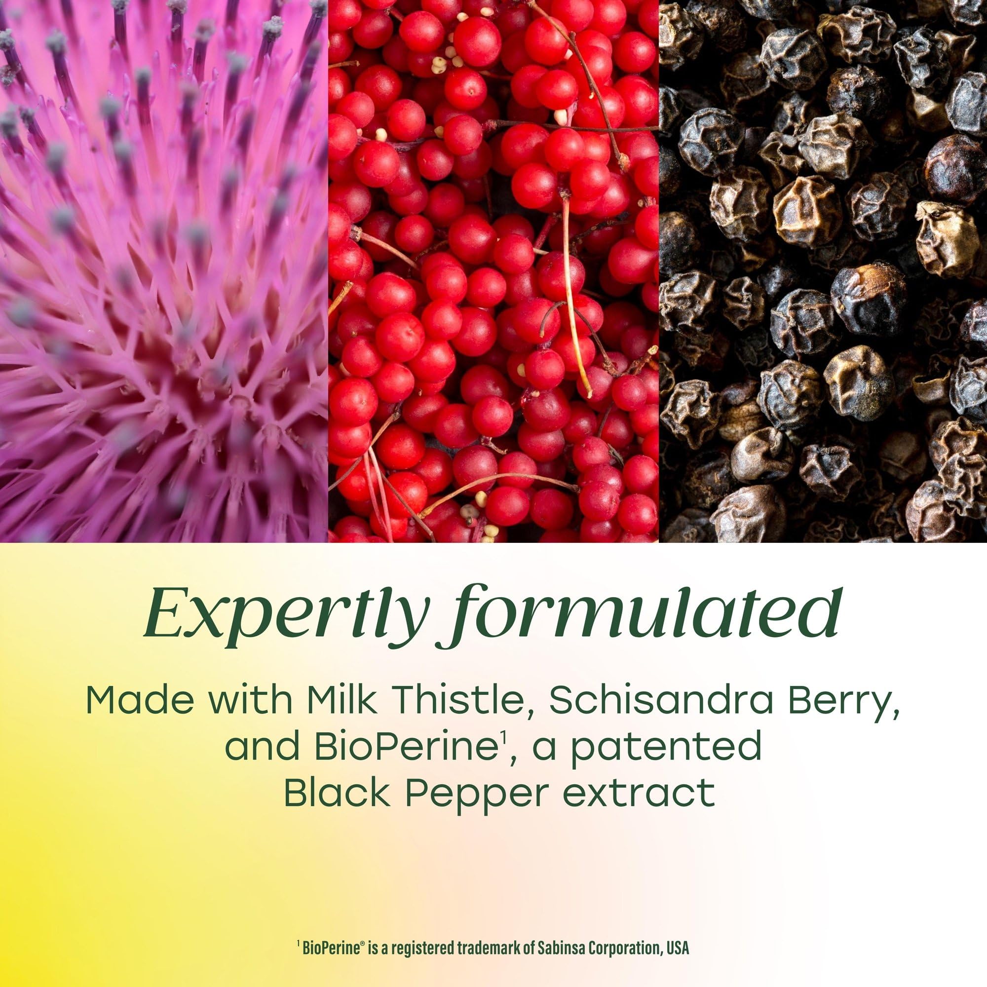 Milk thistle ingredients close-up in MegaFood turmeric blend