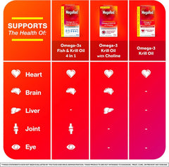 MegaRed Advanced 4-in-1 brain health icon representing cognitive support.