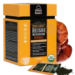 Mehdi Reishi spore powder in a glass jar, showcasing pure potency for daily wellness.
