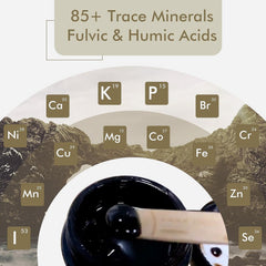 Meideal Shilajit resin gold-grade quality emphasizing potency and minerals