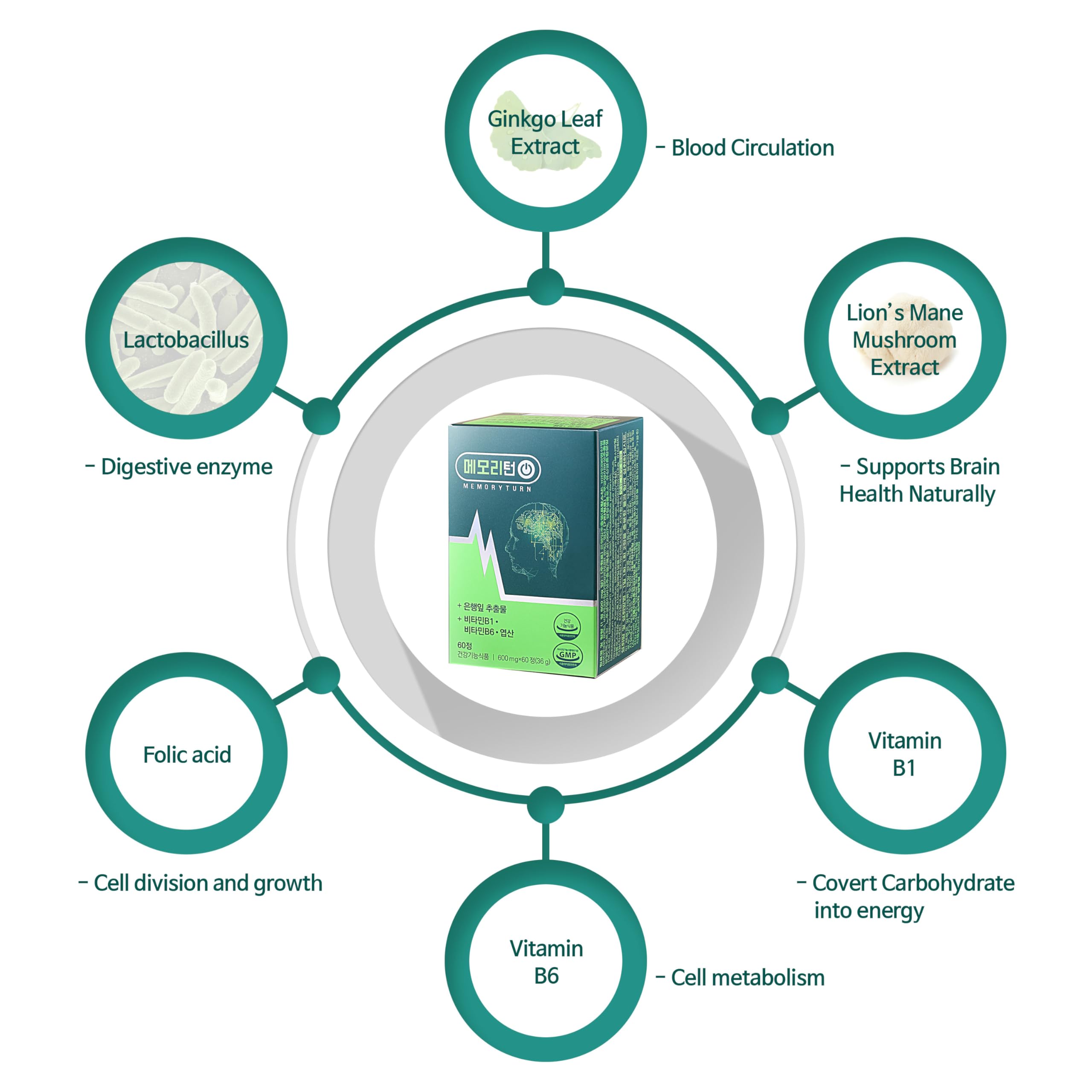 MemoryTurn probiotic balance formula promoting gut wellness.