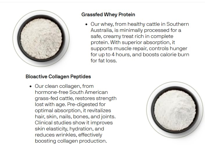 Chocolate Metabolic Super Protein tub with scoop for post-workout shakes
