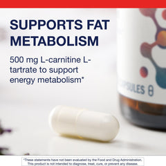 L-Carnitine label detail showing non-GMO and gluten-free notes.