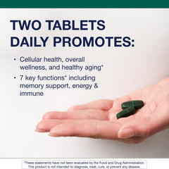 Metagenics PhytoMulti with Iron packaging shows clean label and ingredient highlights