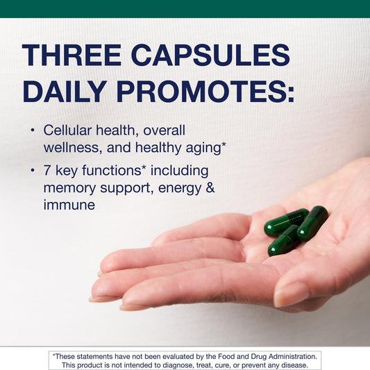 Metagenics PhytoMulti capsules close-up showing easy daily use and balanced nutrition.