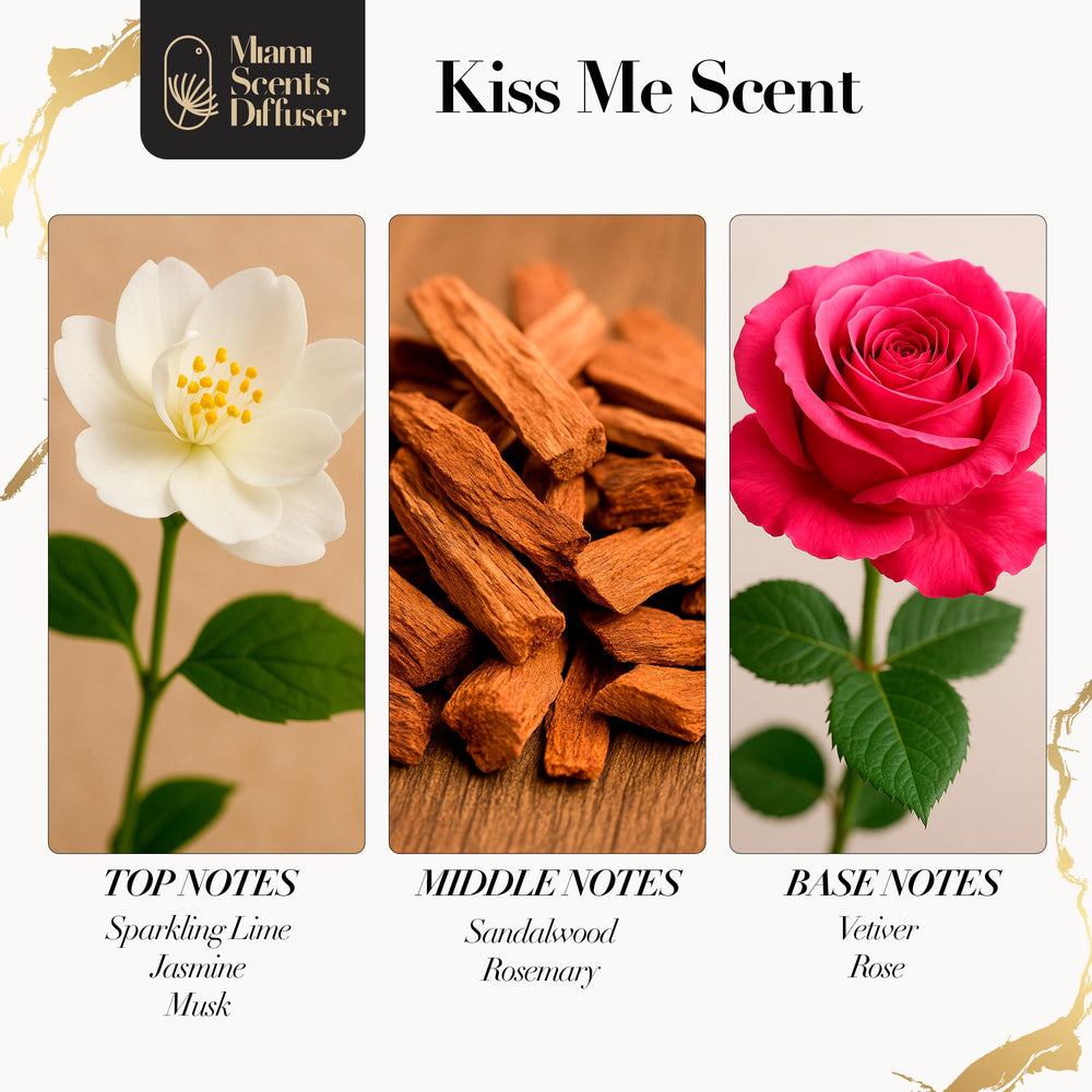Miami Scents Diffuser Velvet Kiss diffuser-scene in a cozy living room.
