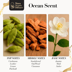 Miami Scents Ocean Whisper bottle cap close-up highlighting secure seal
